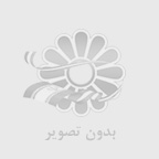 چگونه طراح سایت شویم